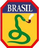Emblema militar da Força Expedicionária Brasileira em formato de escudo. O escudo possui borda vermelha e fundo amarelo. Na parte superior está escrito “BRASIL” em letras brancas sobre uma faixa azul. No centro aparece uma cobra verde enrolada, com a cabeça levantada e um cachimbo na boca, soltando fumaça.