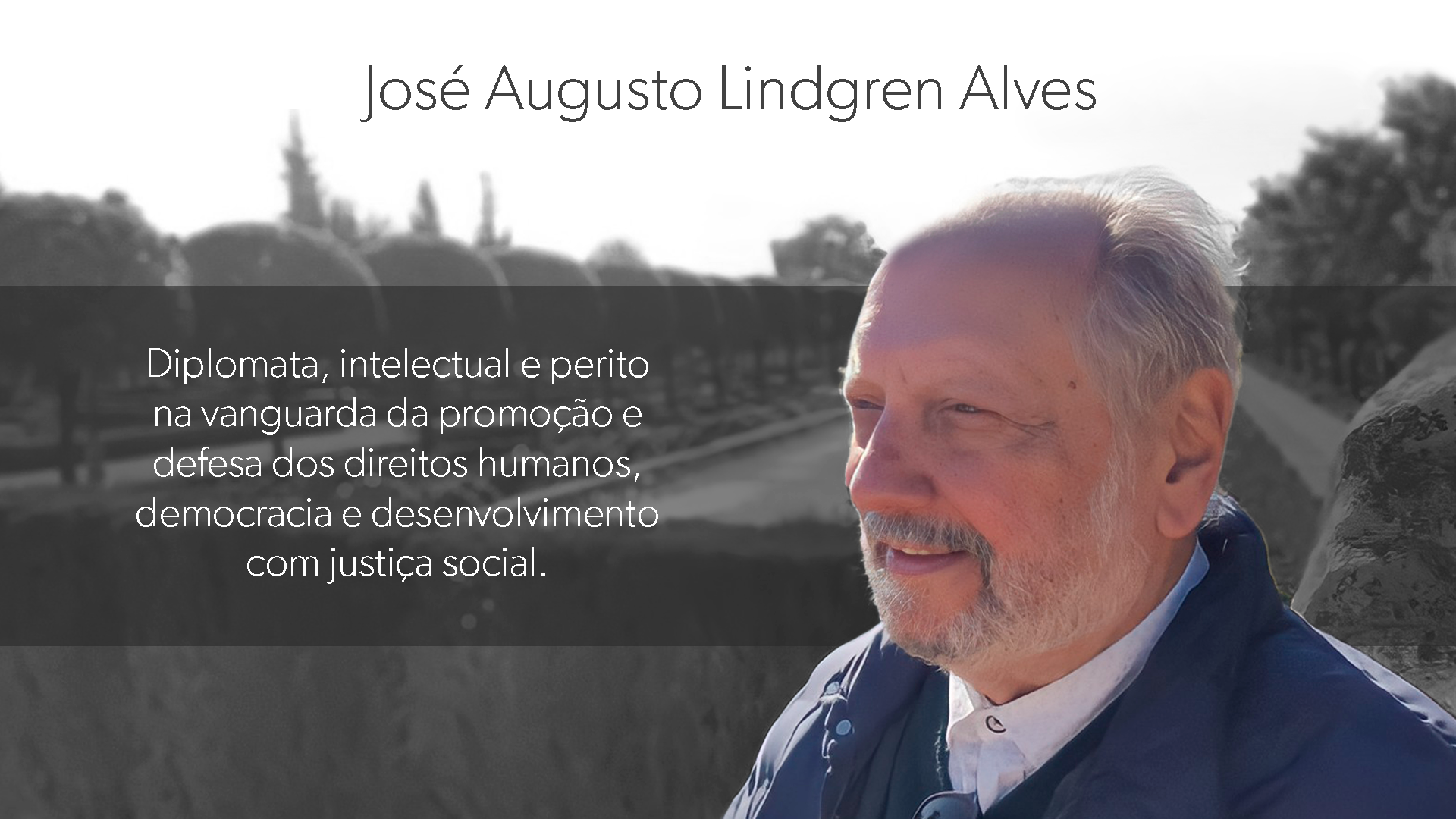 homenagem-lindgren
