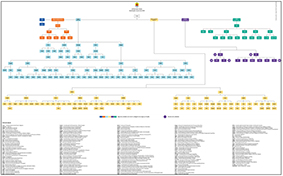 Icone-Organograma - sem funções (Fev/2024)