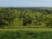 bauru2pp
