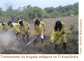 Brigada Indigena Andre Matsubara2