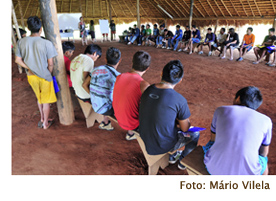 2011 12 03-apicultura2 vilela