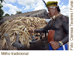 2013-04-09-Marai-nota5