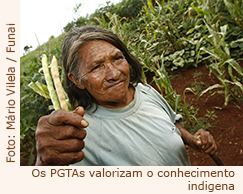 Lancada a chamada publica para apoiar Planos de Gestao Territorial Ambiental em terras indigenas da Amazonia Legal