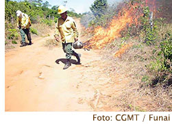 2013-12-03-ibama-convenio-nota2