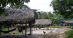 2014-01-03-AwaGuaja1-destaque