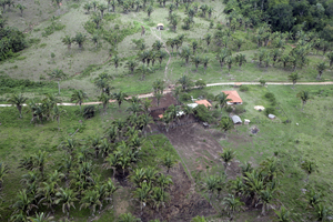 2014-01-17-Operacao-AwaGuaja