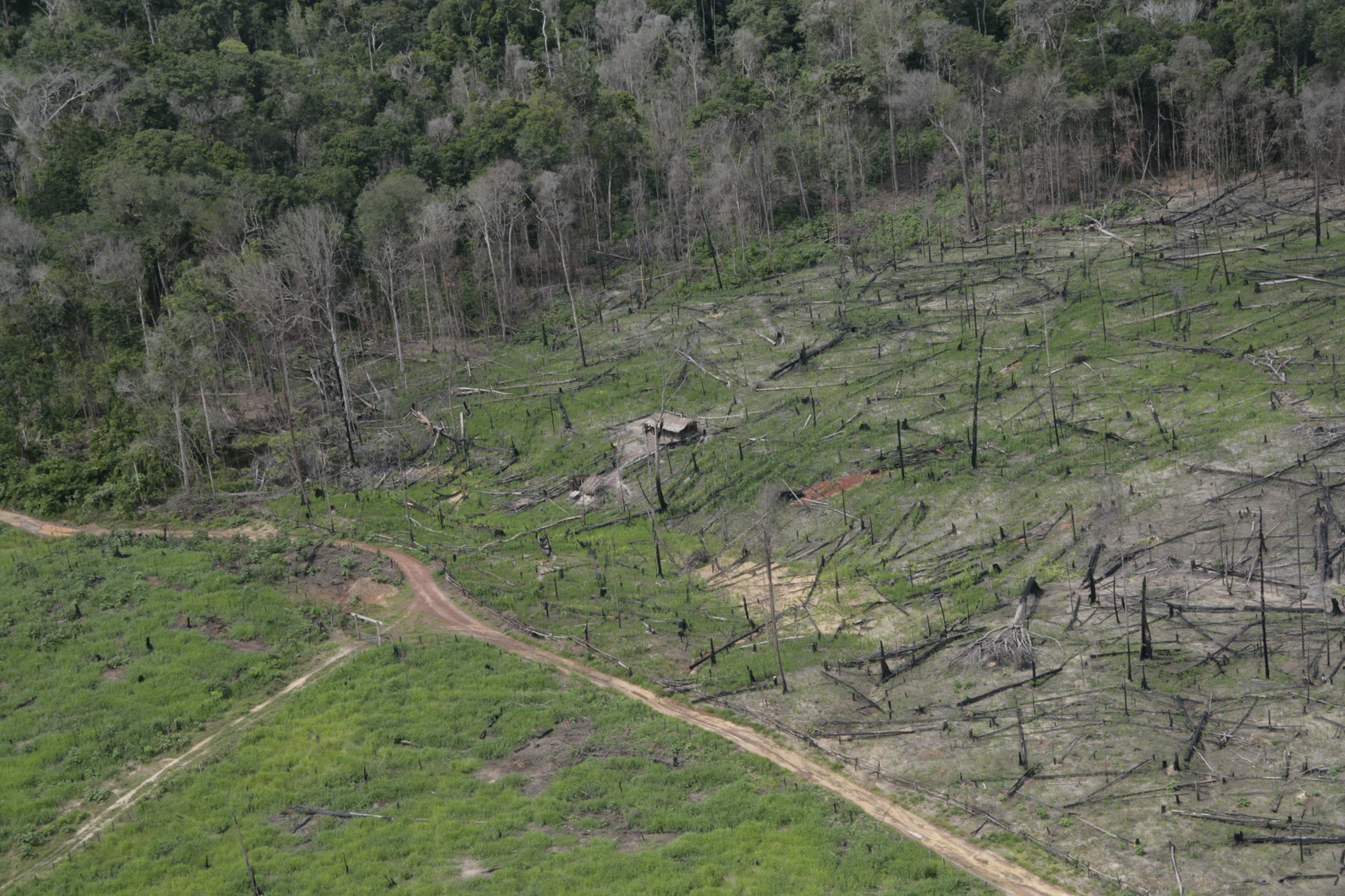 902837 271939669635379 1142262287 o