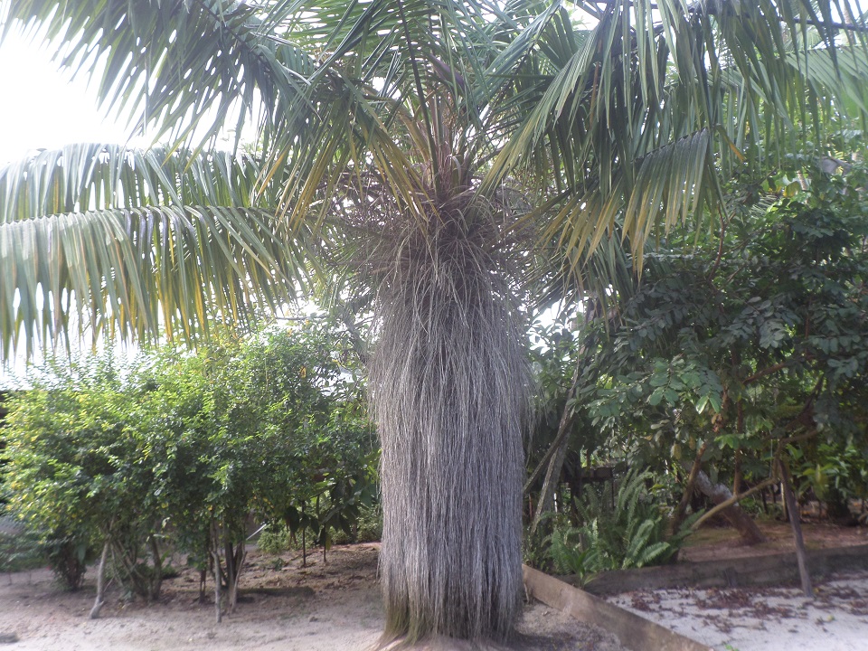 funai-2014-07-04-01-recomendacoes-mp-piacaba