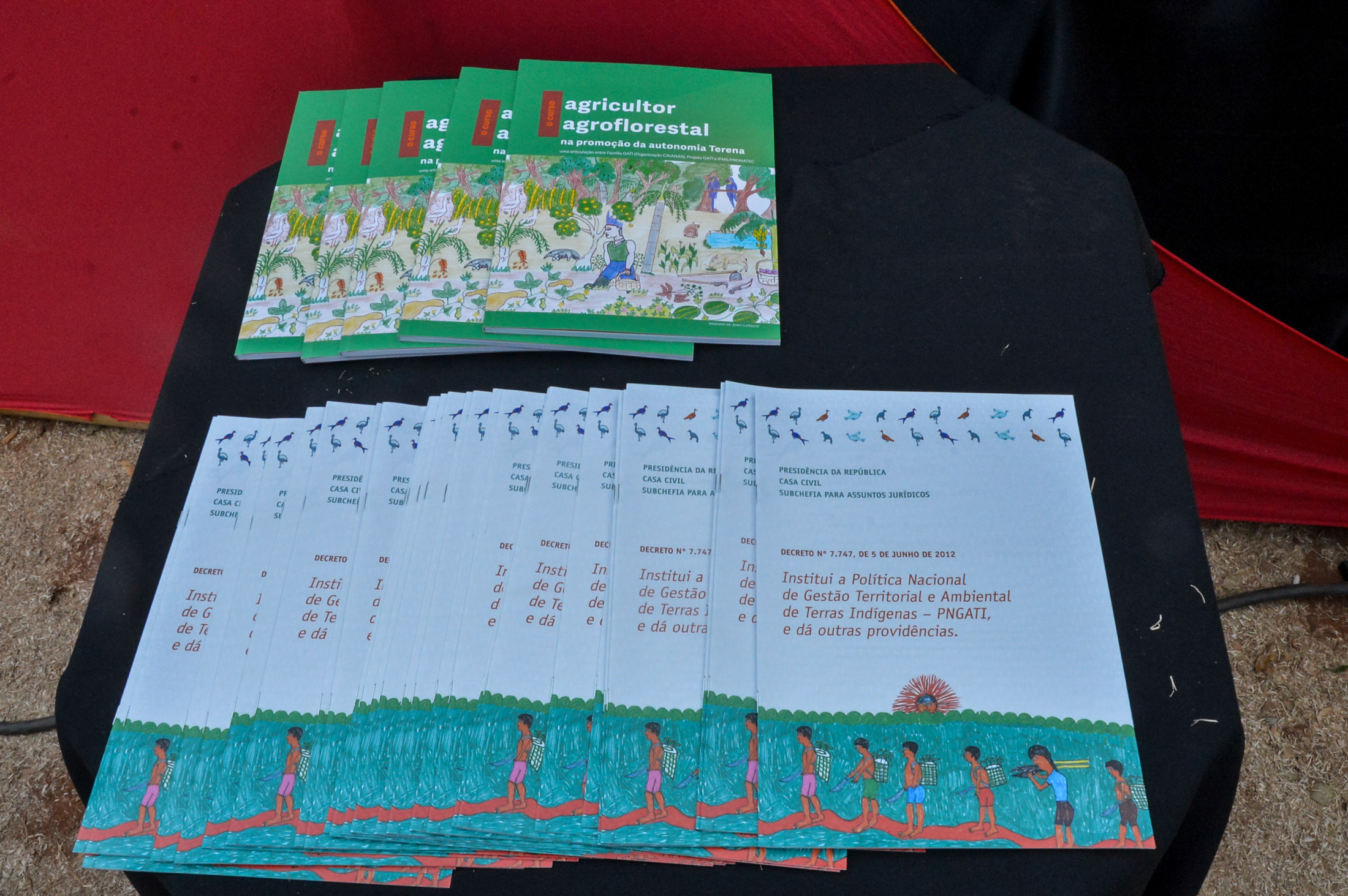 CongressoAgroecologiaFotoMarioVilela