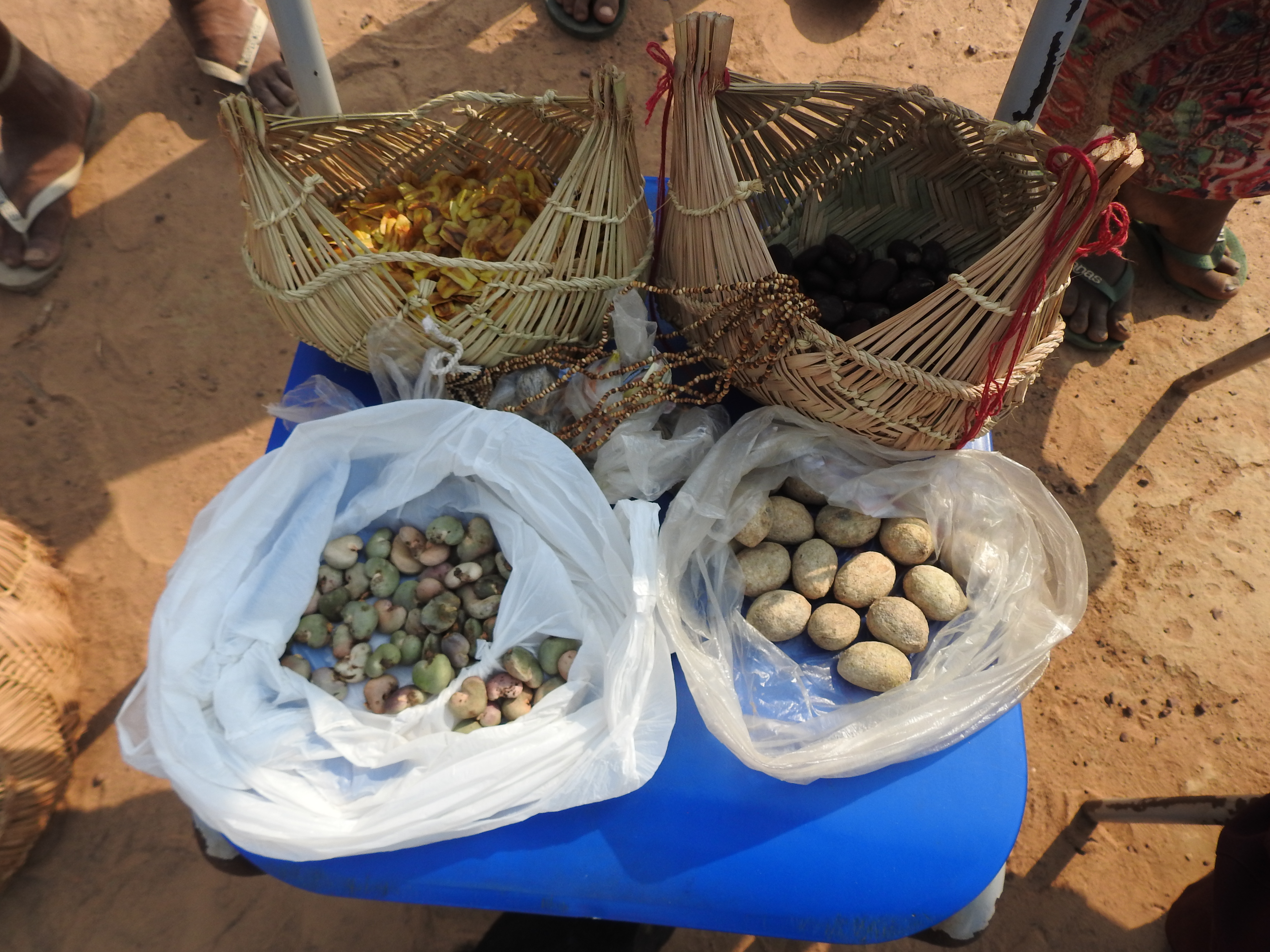 FeirasementesXavante1