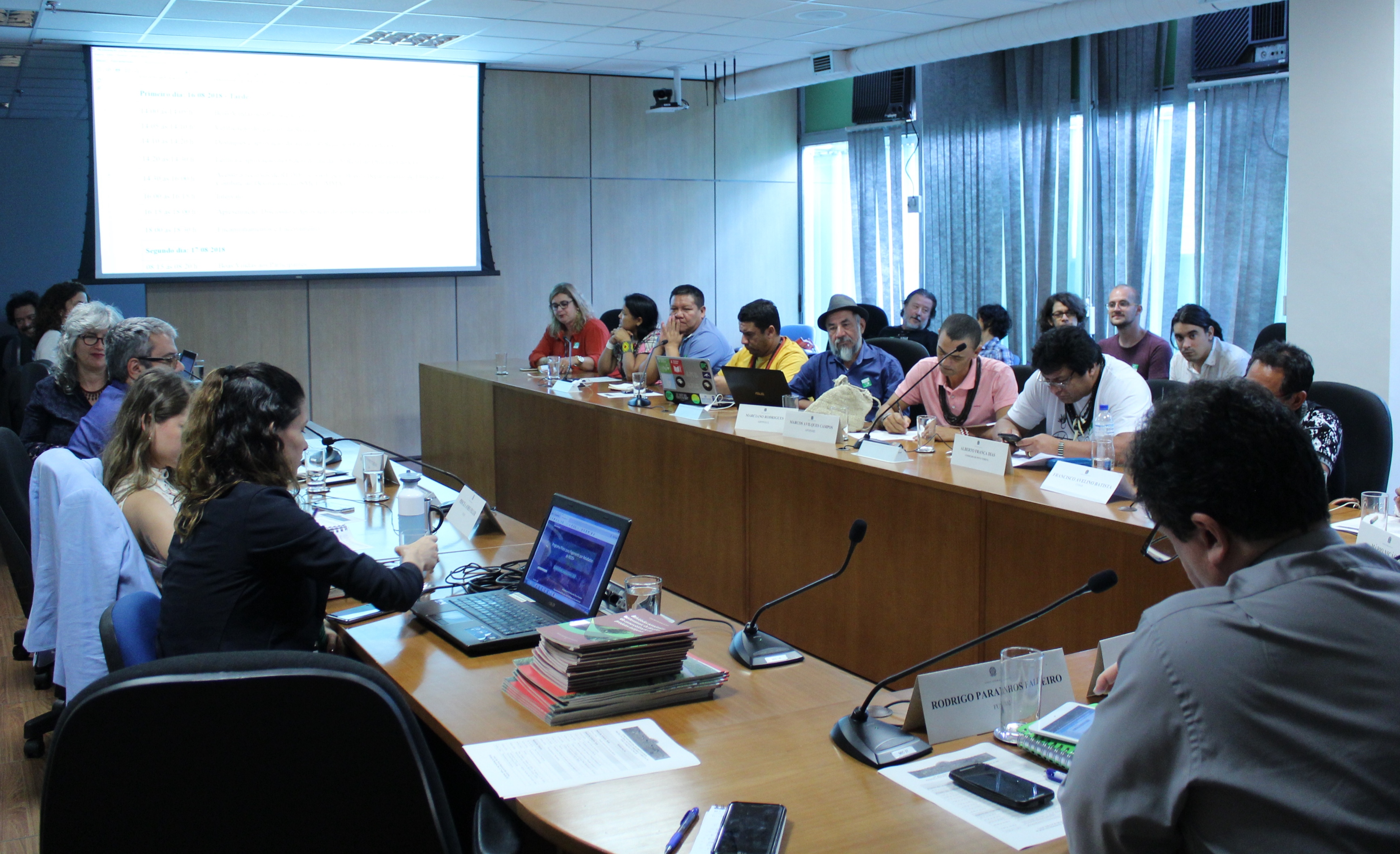 comite gestor 1 pngati 16.08.18