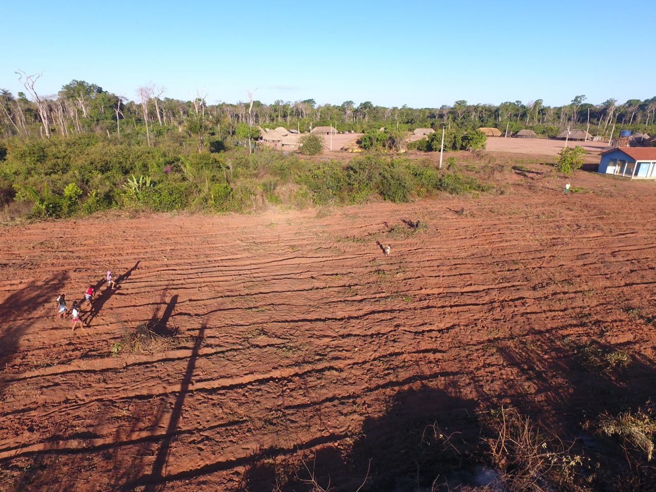 Roça da aldeia Wani Wani após a aragem com maquinário. (foto: Patxon Metuktire)