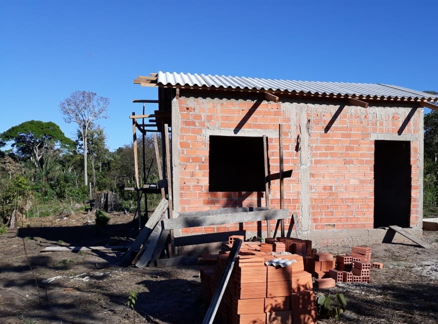 coleta acai   agroindustria ed