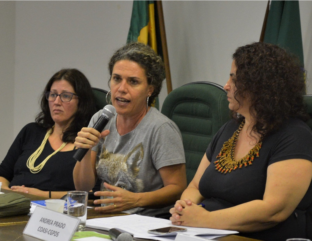 oficina norma silvia ed