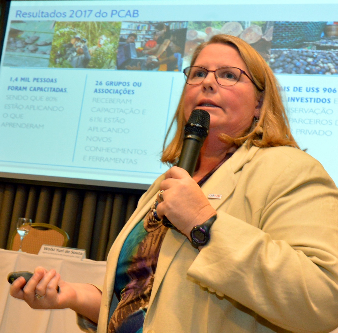 projeto usaid   toness ed