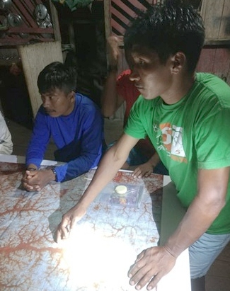 jamamadi c ed reverso