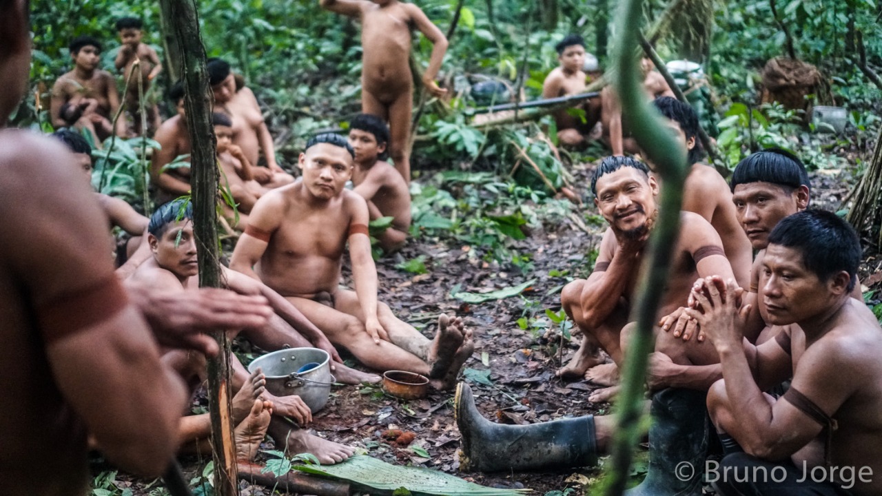 Korubos recemcontatados