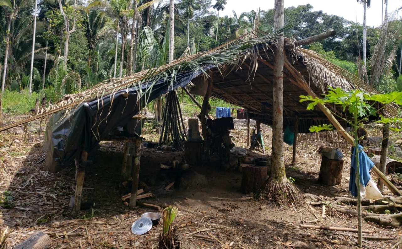 Fiscalizacao Uru-Eu-Wau-Wau 13 (5)