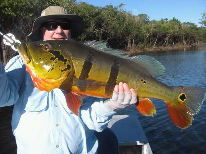 pesca a