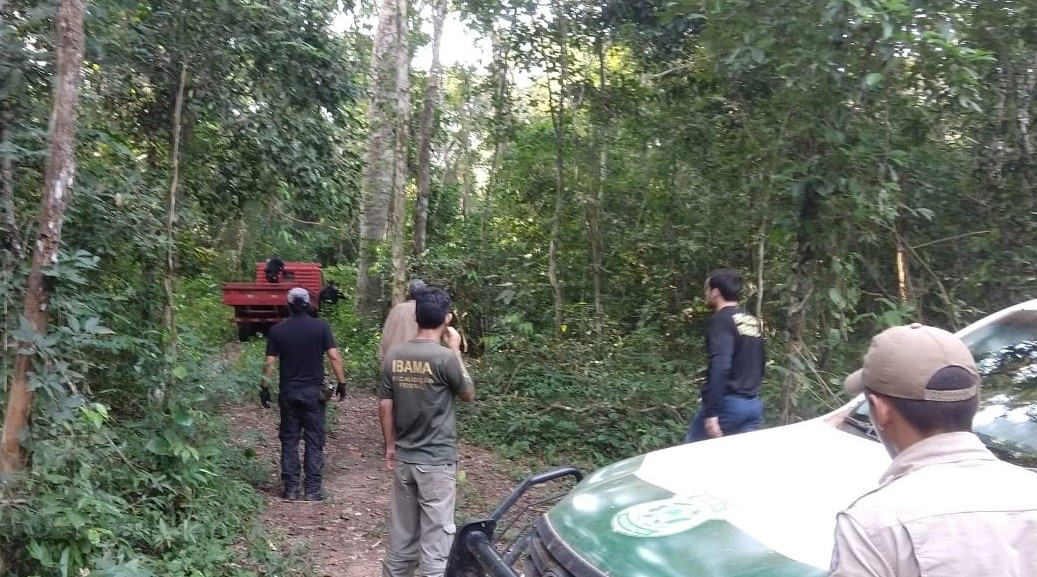 apreensao de veiculo