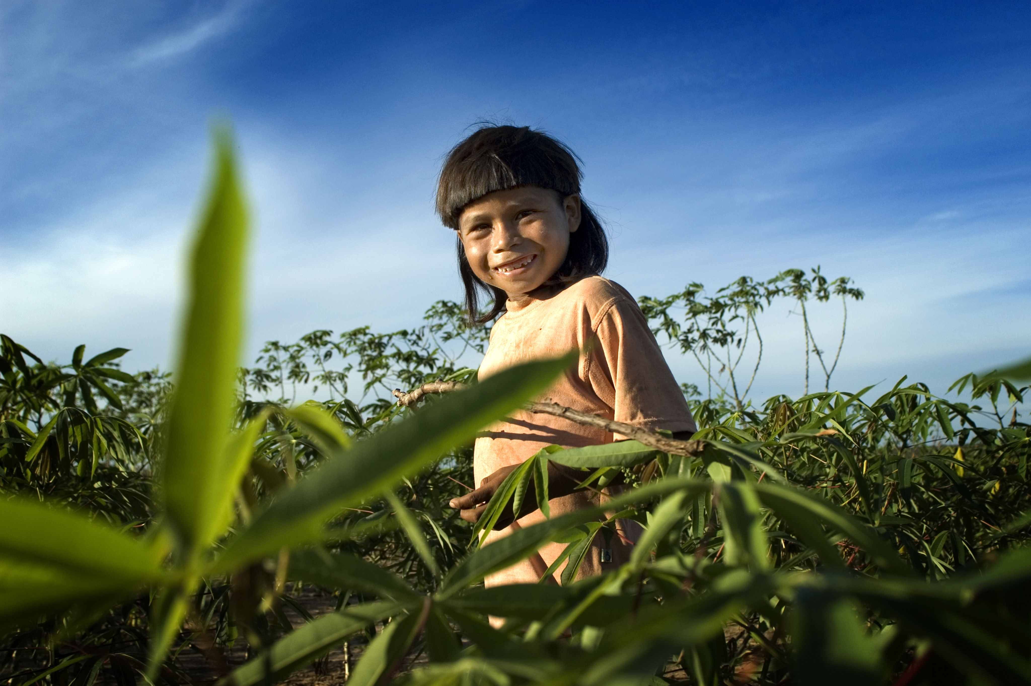 Maraiwatsede anderson schneider