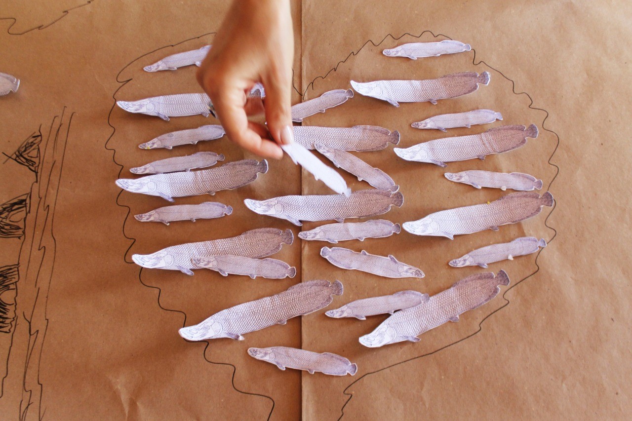 Karaja manejo pirarucu 2