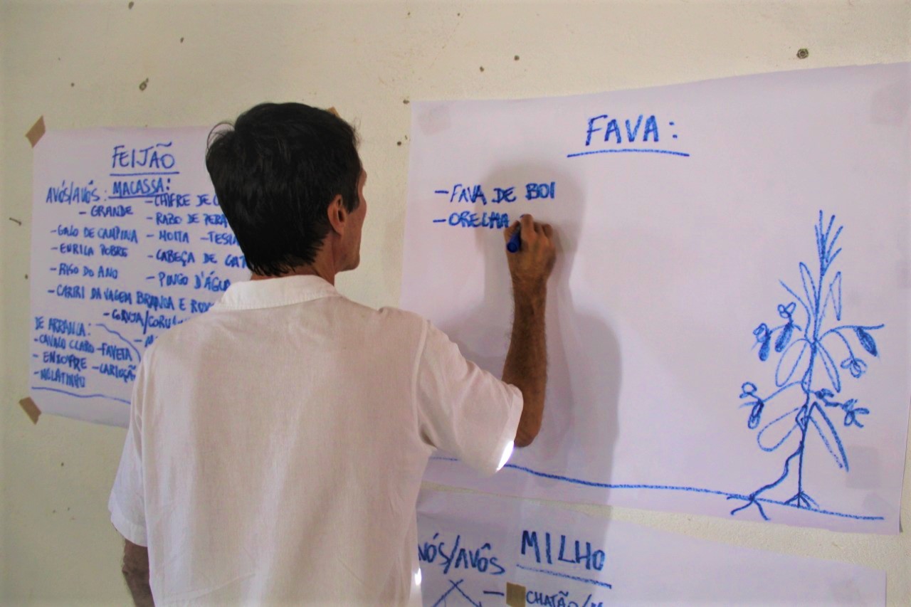 Diogenes Nobrega - Feira de sementes