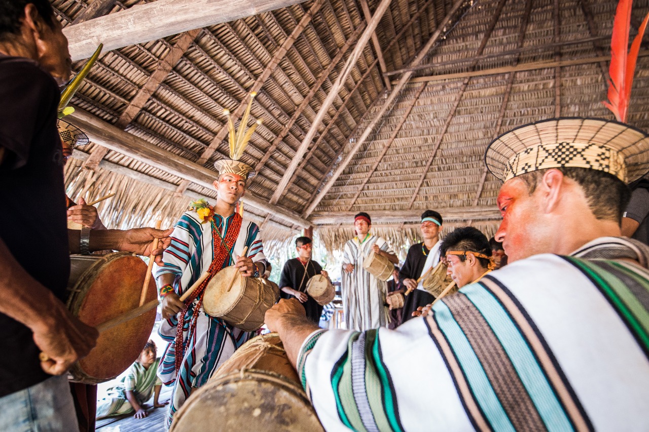 Ashaninka 4 - Arison Jardim