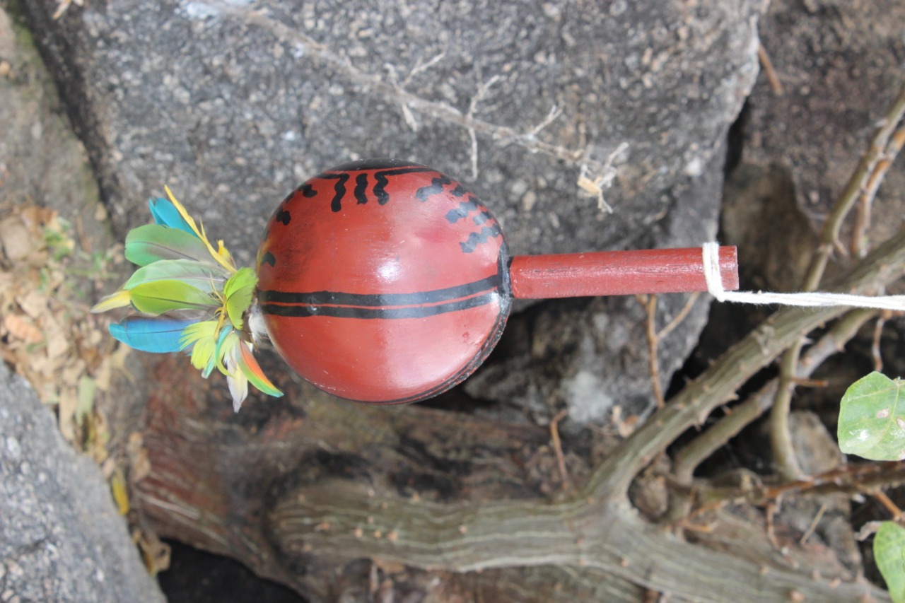 maraca