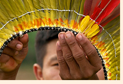 2013-08-09-diaindio-nota