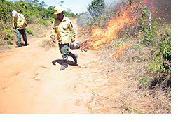 2013-08-16-Maraiwatsede-nota