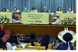 2013-11-14-seminario-tardeSegurançaAlimentar