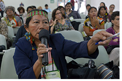 Seminario Mulheres Indígenas - Mario Vilela