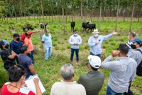Com apoio da Funai, produtores indígenas participam de intercâmbio de tecnologias em Mineiros (GO)