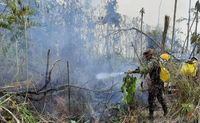 Forças Armadas combatem focos de incêndio na Floresta Nacional e em terras indígenas