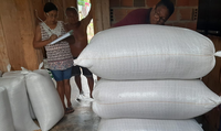 Funai distribui quase 9 toneladas de alimentos para comunidades indígenas do Mato Grosso