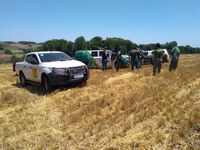 Funai e Ibama realizam operação de fiscalização em Terra Indígena no Paraná