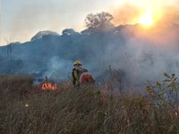 Funai promove ações de prevenção e combate a incêndios florestais no Tocantins