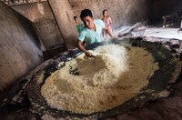 Governo federal vai investir R$ 343 mil na produção de mel e farinha em Terras Indígenas