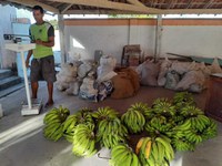 Indígenas Pataxó comercializam produtos por meio do Programa de Aquisição de Alimentos