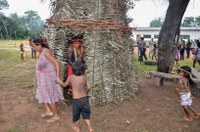 Investimento da Funai em regularização de Terras Indígenas cresce 92% no governo Bolsonaro