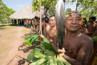 Linhão de Roraima: tradução do Componente Indígena é retomada