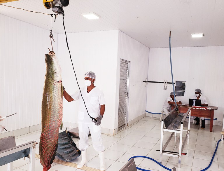 20201028_165752 (1).jpg