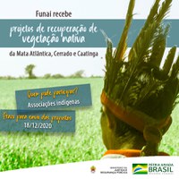 Prazo para o envio de projetos de recuperação de vegetação nativa dos biomas Mata atlântica, Cerrado e Caatinga segue até o dia 18 de dezembro