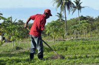 Presidente da Funai assina Carta de Anuência para projeto que incentiva agricultura familiar indígena em Roraima