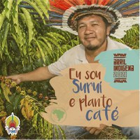 Abril Indígena: Com apoio da Funai, povo Paiter Suruí consolida cultivo de café especial