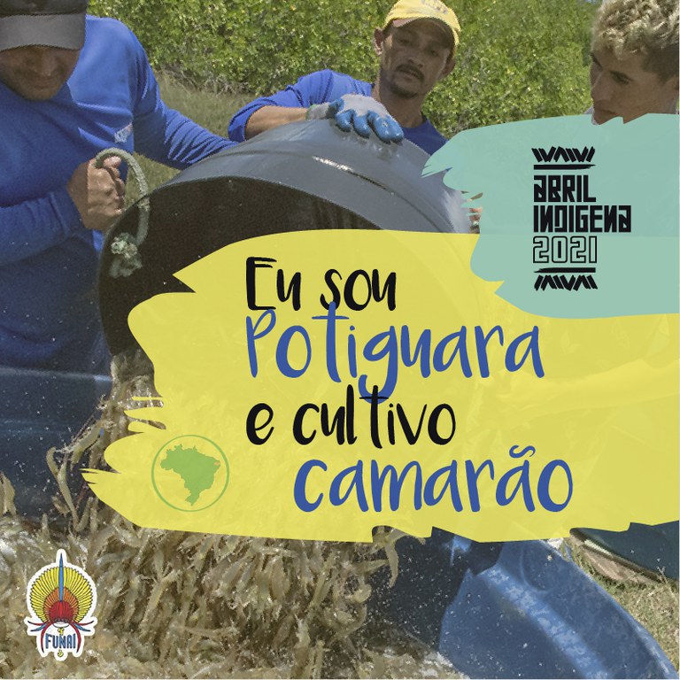 card potiguara-100.jpg