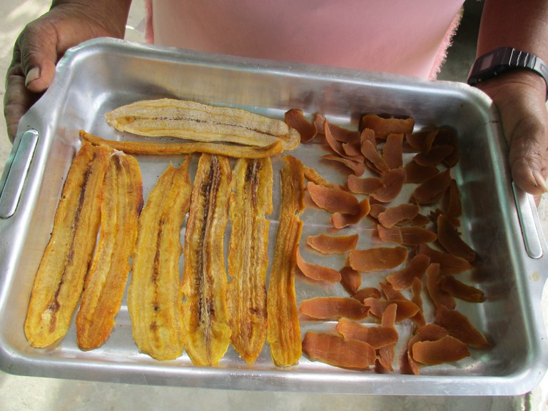 casa das frutas ed.jpeg