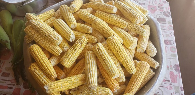 WhatsApp Image 2021-01-25 at 15.51.42.jpeg